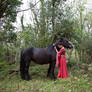 A girl and her horse 1