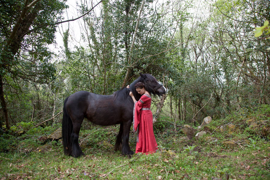 A girl and her horse 1 by magikstock