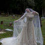 widow 4