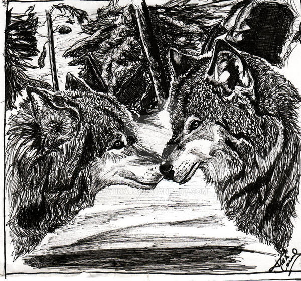 Two Wolves Scetch Two Wolves by LaTinaja on DeviantArt