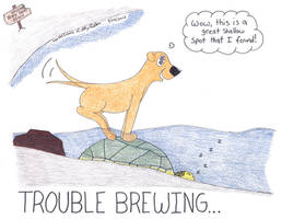 Directorycontest2013