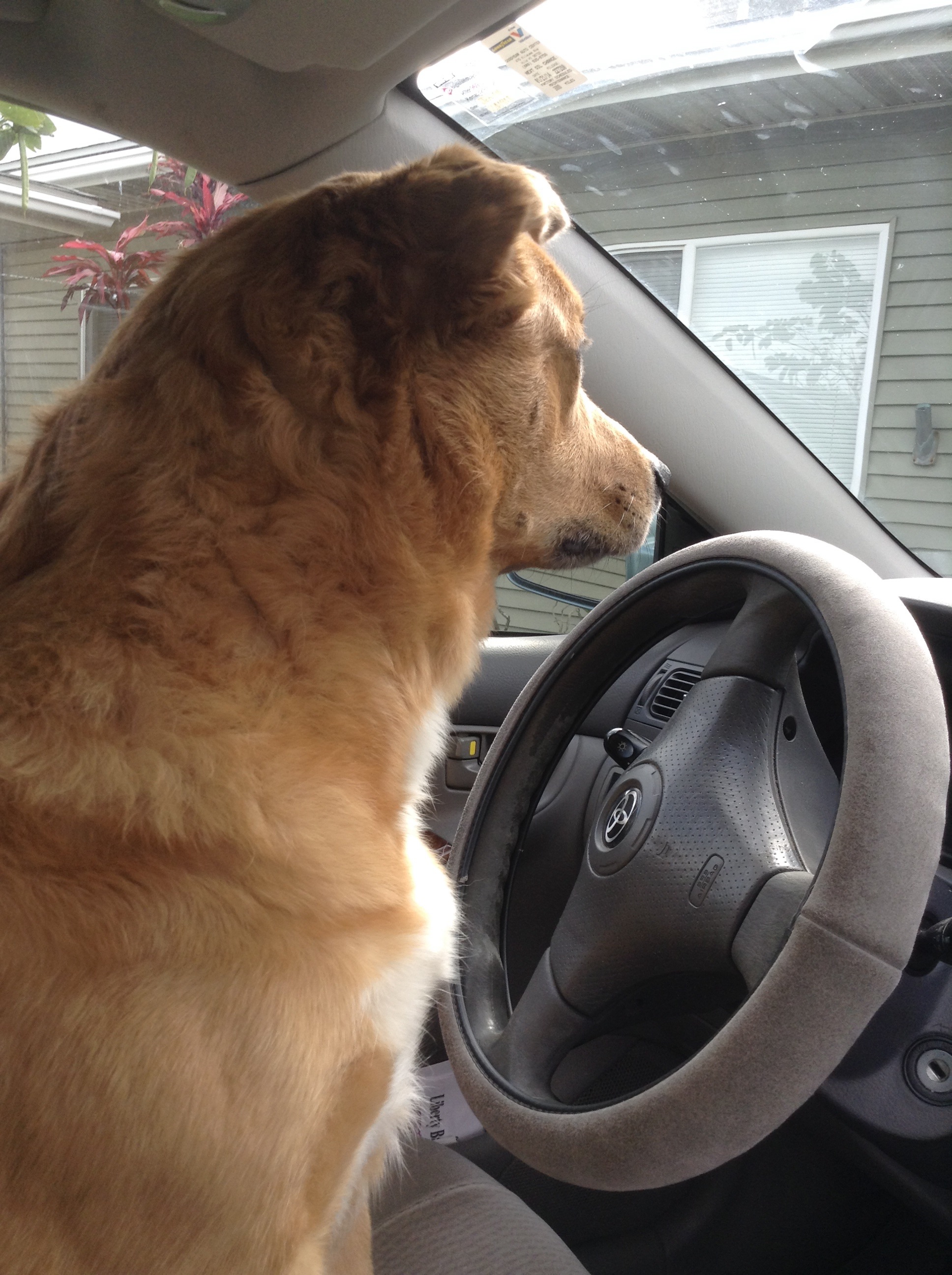 Autumn Driving