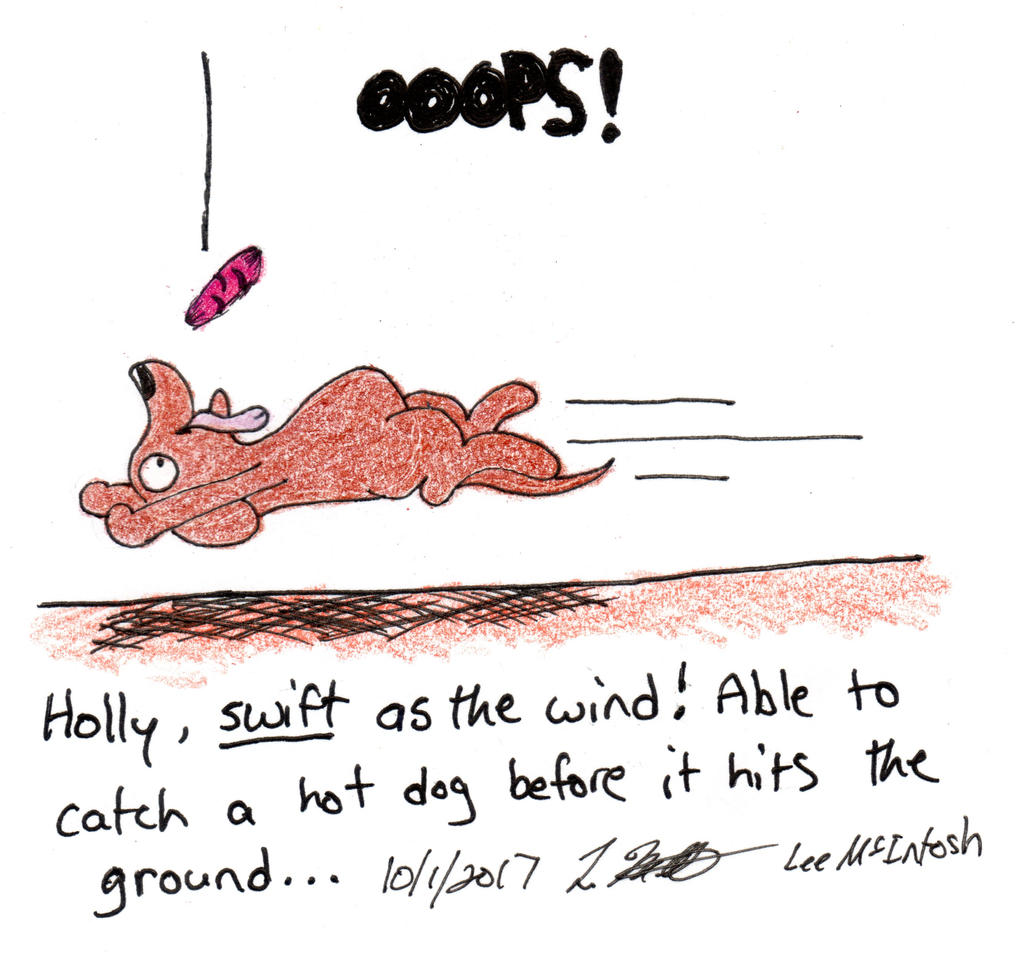 Swift by cartoonistforchrist