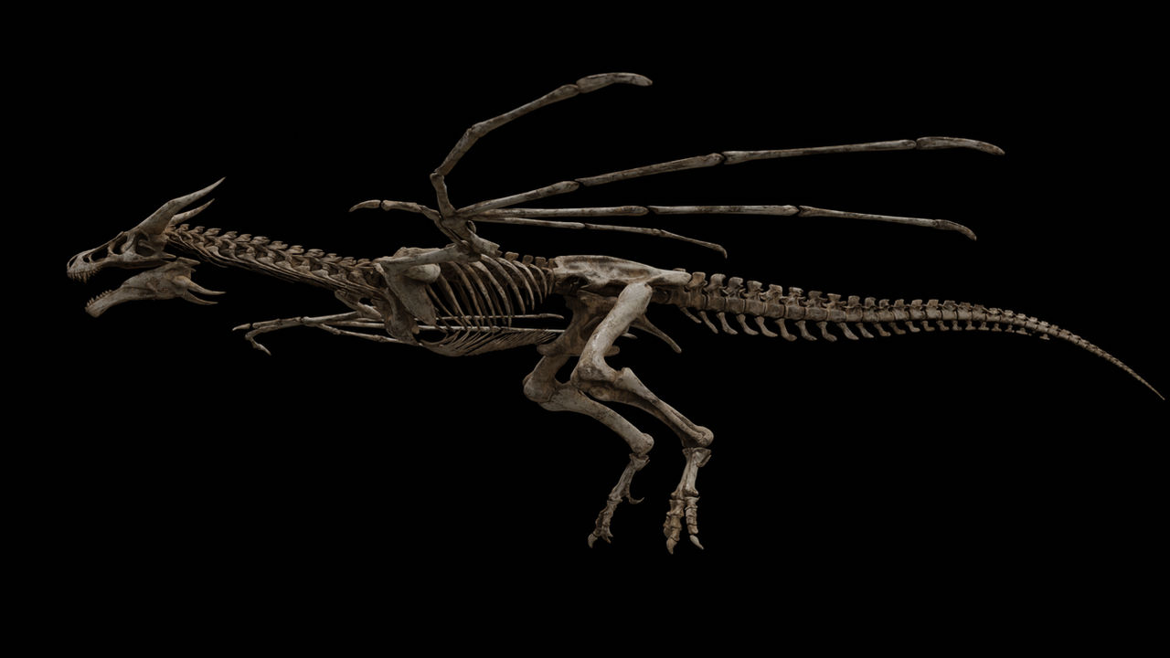Db Skeleton Dragon Skeleton by huykhoi2407 on DeviantArt