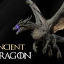 Ancient Dragon 3D model