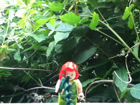 Poison Ivy in Her Natural Habitat