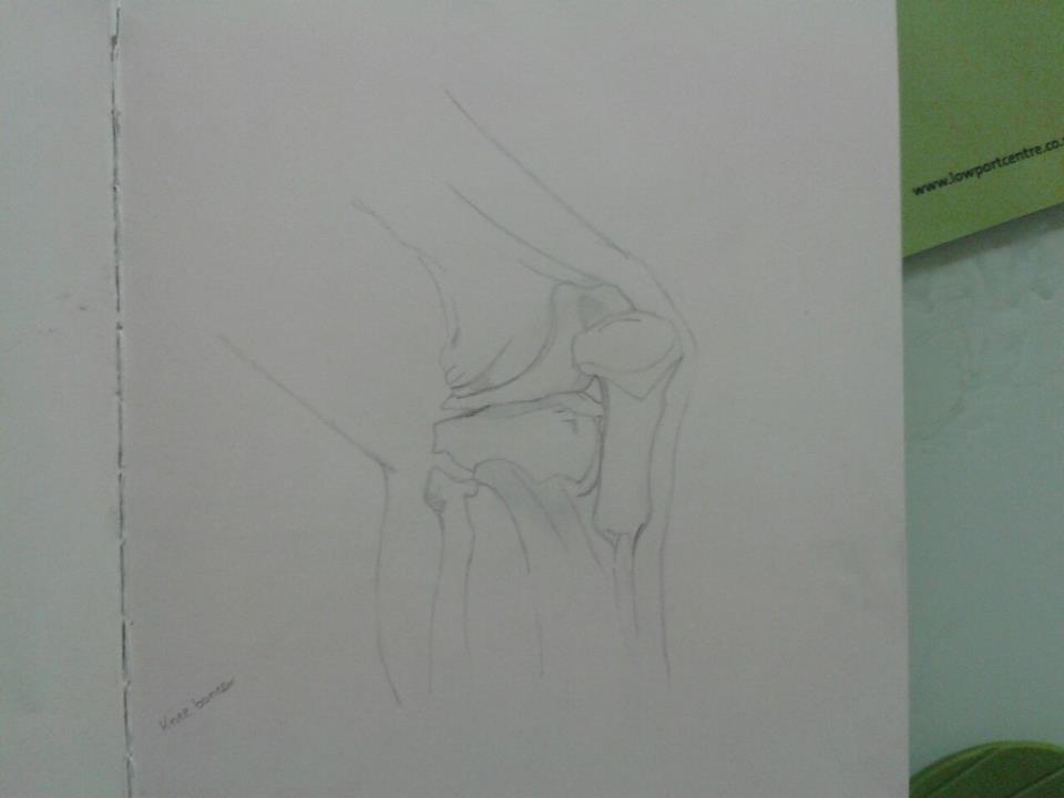 Deviantart Knees Knee Bone by JRanimeartist on DeviantArt