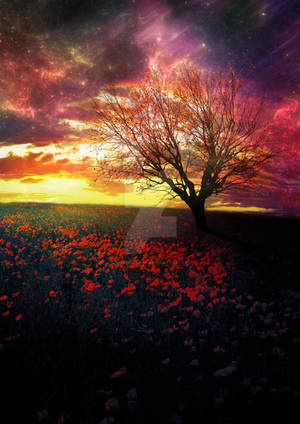 Colours in the Dark by MBHenriksen Colours in the Dark by MBHenriksen