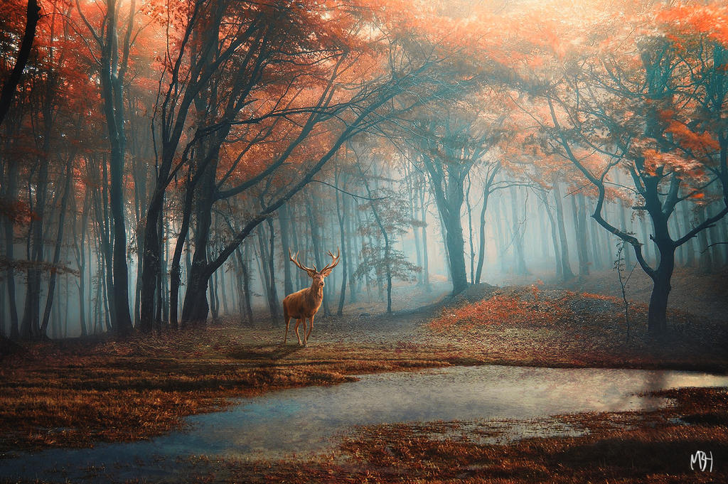 Salvation by MBHenriksen Salvation by MBHenriksen