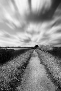 Black and White Infrared Nature