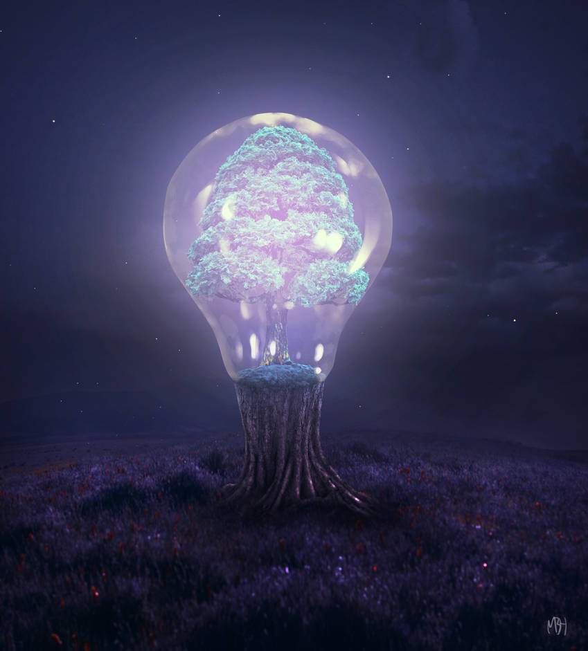 Tree of Light + Timelapse, Video Walkthrough, PSD by MBHenriksen