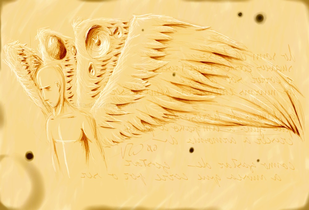 sketch - iel - wings