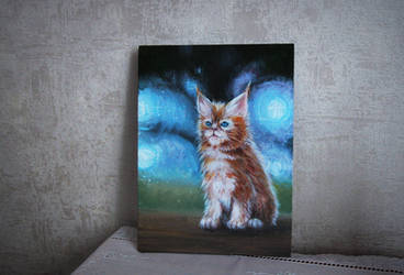 Maine Coon