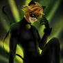 Chatnoir~