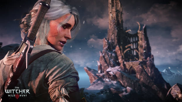 The Witcher 3 Wild Hunt The ashen haired girl Ciri