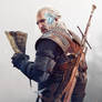 The Witcher 3 Wild Hunt Geralt Contract