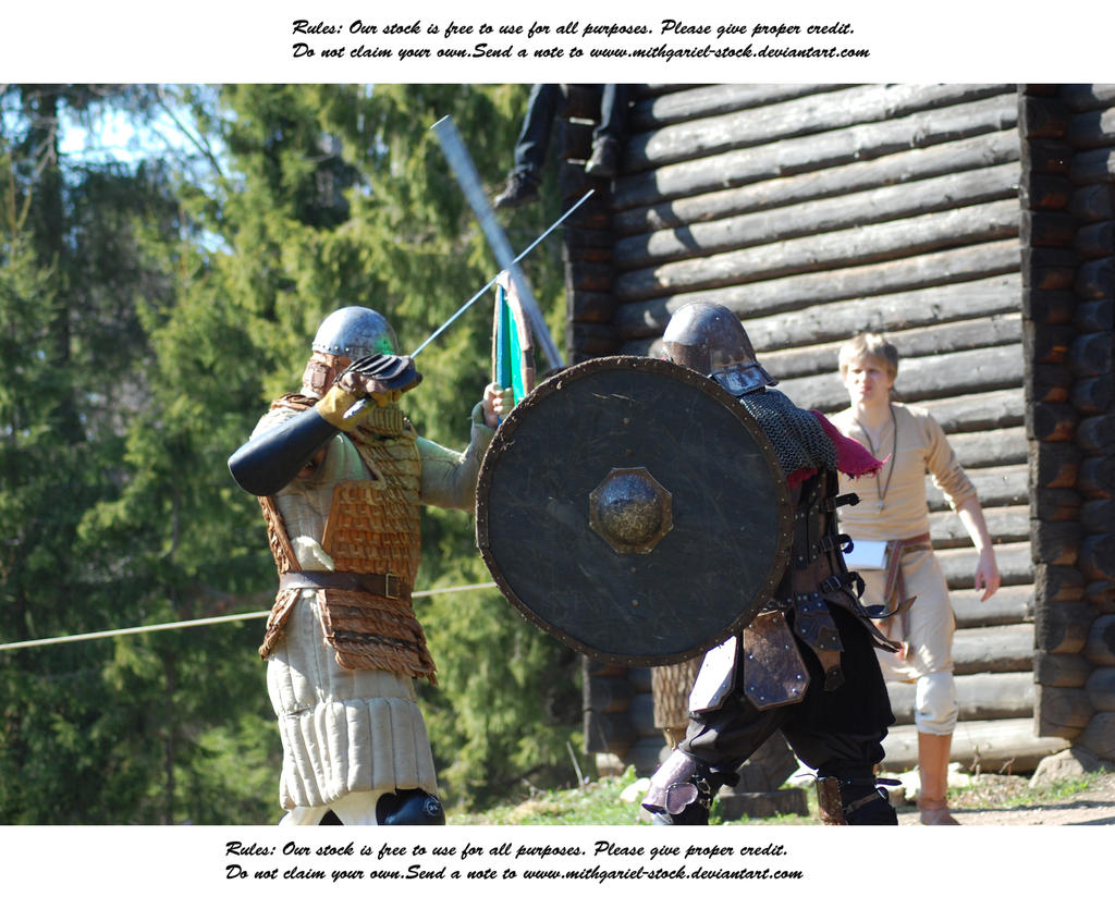 Vikings Do Battle (13)