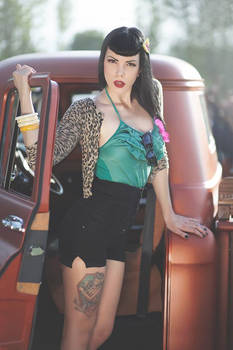 Hot rods and pin-ups