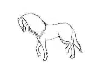 Horse