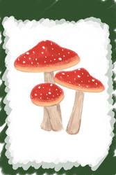 Amantia muscaria