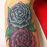 rose coverup