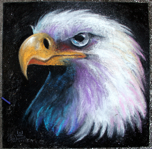 Street Chalk Bald Eagle