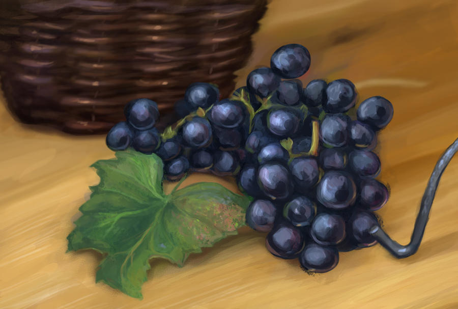 Still life  of Study Grapes