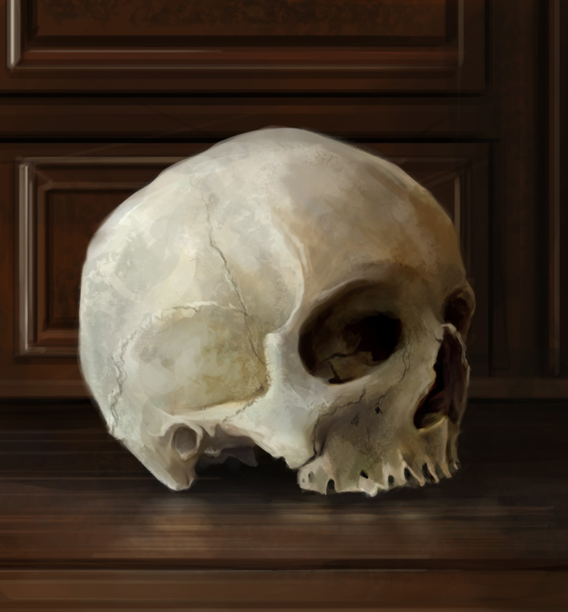 Some (mostly) recent paintings, including a skull study, a still