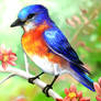 Blue Bird Layer Paint