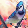 BlueJay Layer Paint