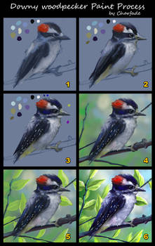 Downy Woodpecker Paint Process