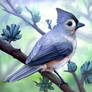 Layer Paint Tufted Titmouse