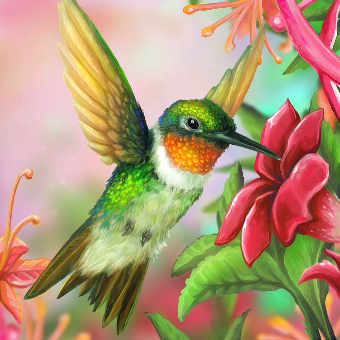 Layer Paint Ruby Throated Hummingbird
