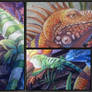 Endangered Iguanas Chalk Art 3