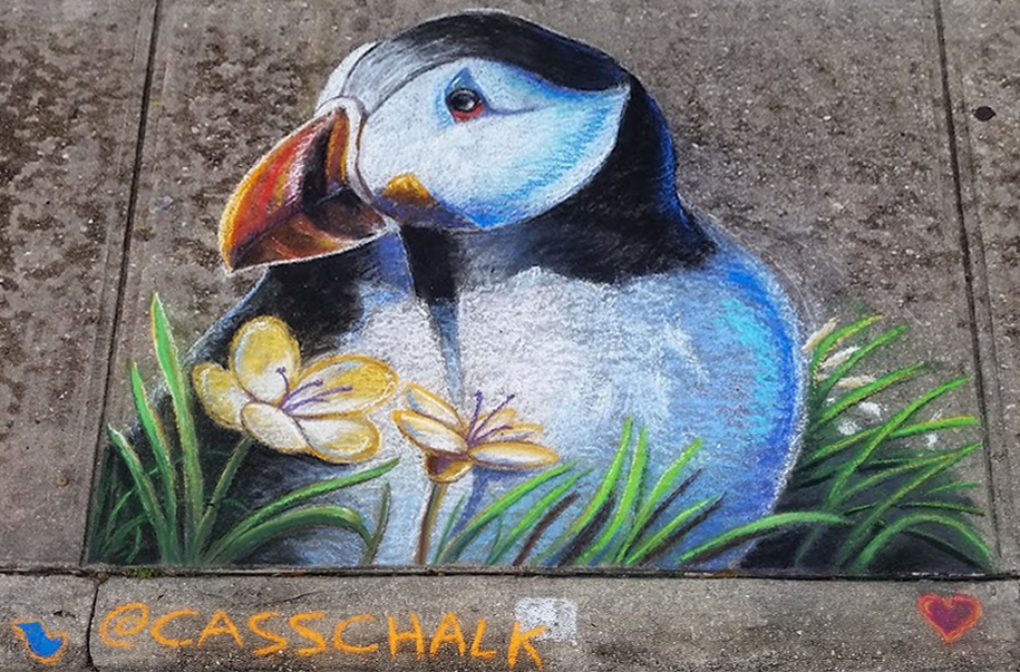 North Atlantic Puffin Chalk Art