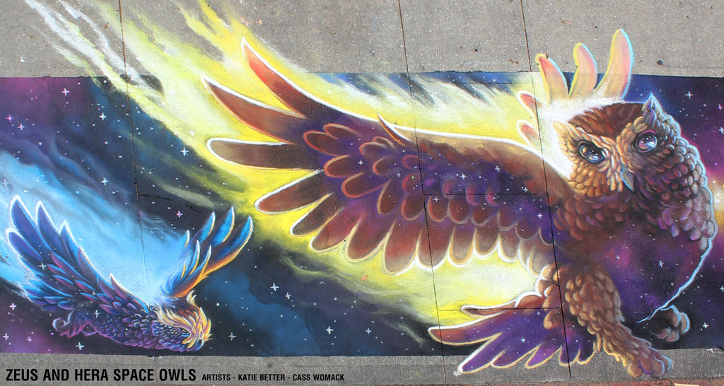 Zeus and Hera Space Owls Chalk Art by charfade