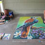 American Kestrel Chalk Art Full View