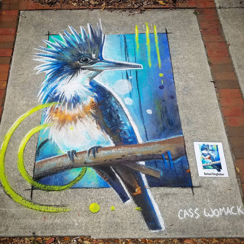 Belted Kingfisher Chalk art