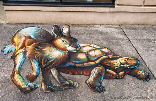 Tortiose Hare 3D Chalk Art