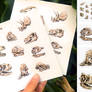 Dinosaur Skull Sticker Set