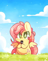 fluttershy