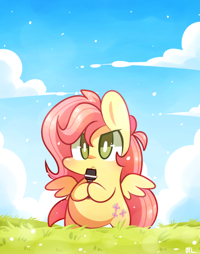 fluttershy