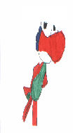 Redgreen yoshi