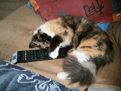 I keep the remote control