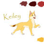 Keiley's Refference sheet