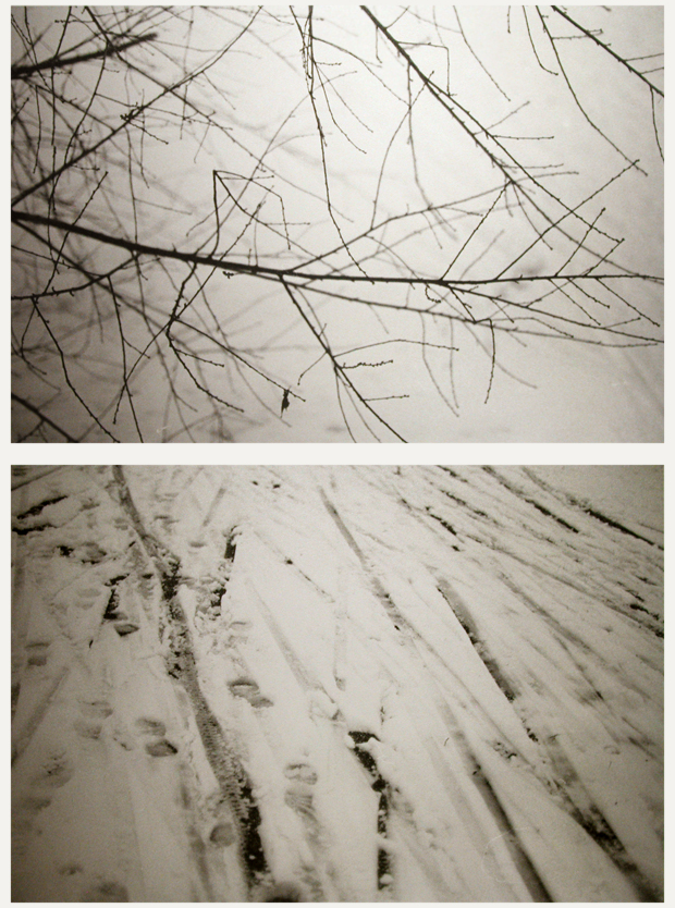 Branches and Footprints