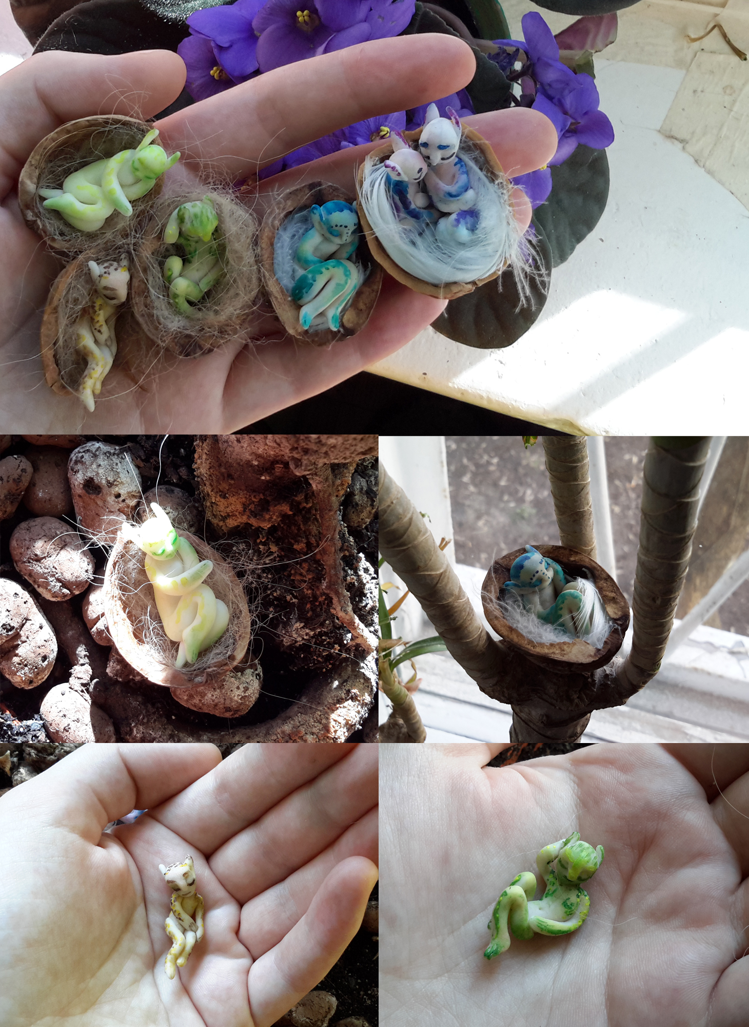 Fairy nests