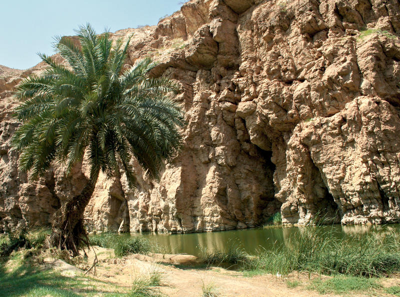 Wadi