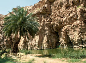 Wadi