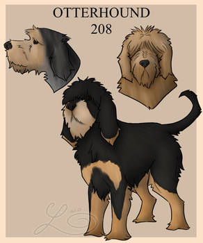 Otterhound